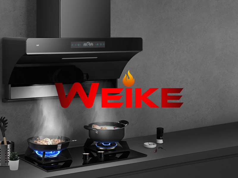 Zhongshan Weike威科英文響應式網站